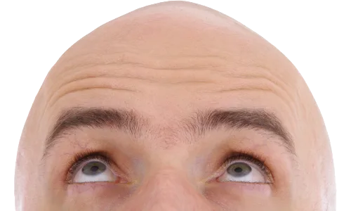 Pourquoi